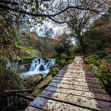 호텔 Luna De Tábua